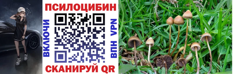 Псилоцибиновые грибы прущие грибы  hydra   Аксай 